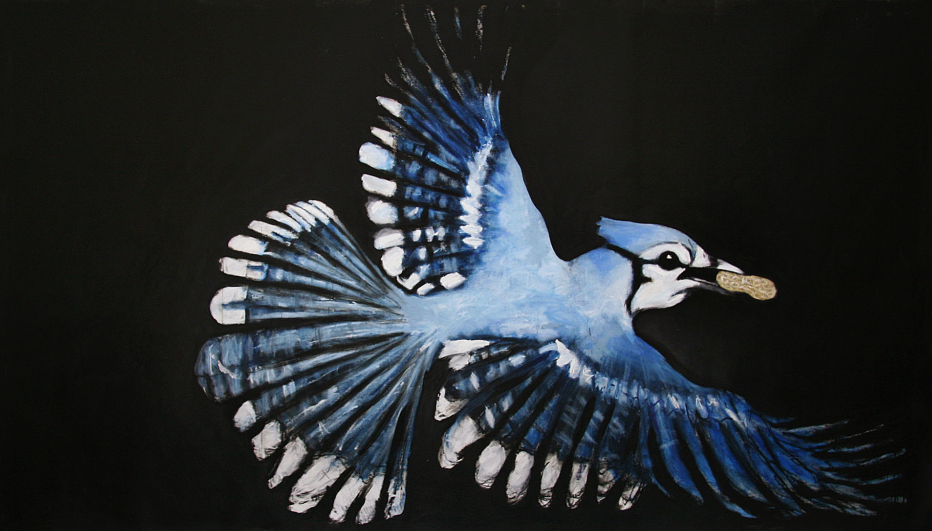 Tolbert exhibit